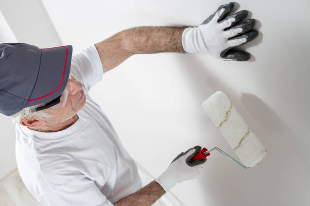 Best Water-Damaged Drywall Repair  in West Salem, OH